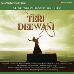 Kailash Kher by Teri Deewani